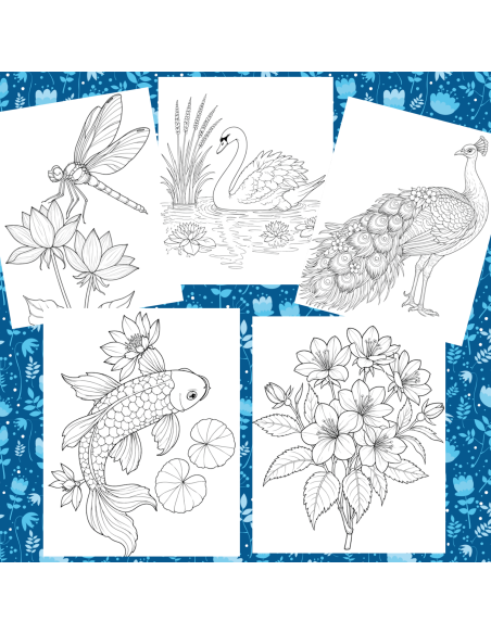 Réf 06 Coloriages japon