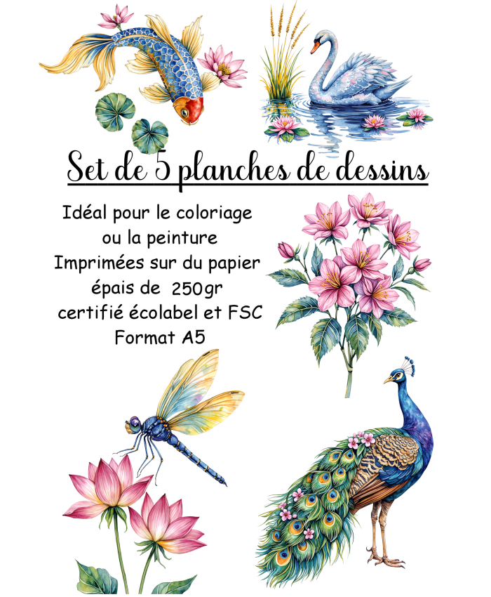 Réf 06 Coloriages japon