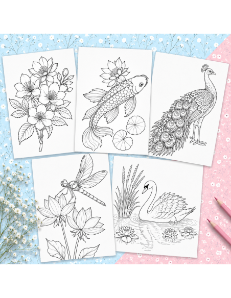 Réf 06 Coloriages japon