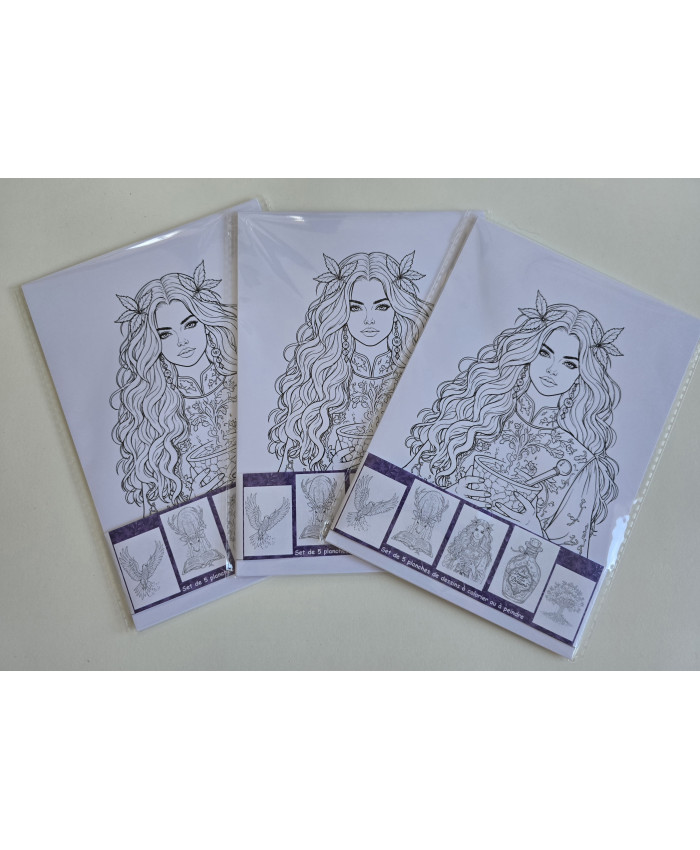 Réf 14 Coloriages magie