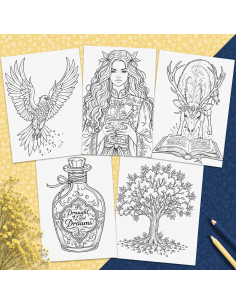 Réf 14 Coloriages magie