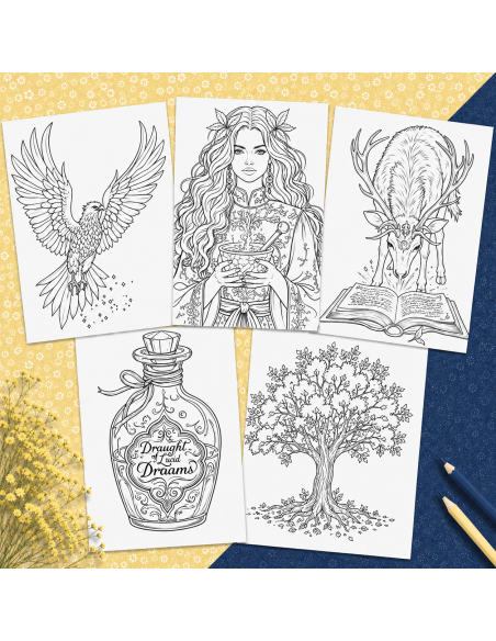 Réf 14 Coloriages magie