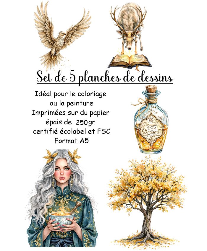 Réf 14 Coloriages magie