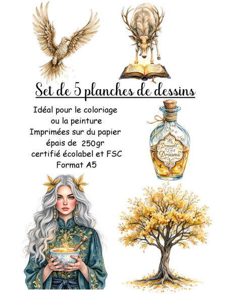 Réf 14 Coloriages magie