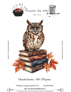 Grille point de croix : Chouette lunettes PDF