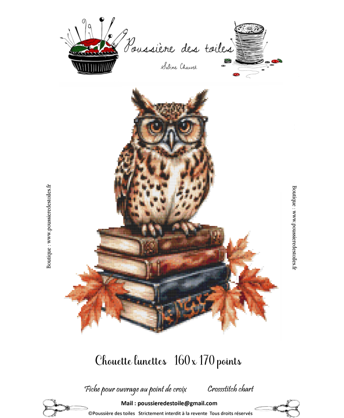 Grille point de croix : Chouette lunettes PDF