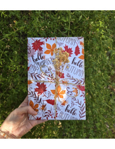Box Surprise Papeterie thème Automne En pré-commande jusqu’au 25 août 2