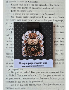 Marque page magnétique citrouilles 2