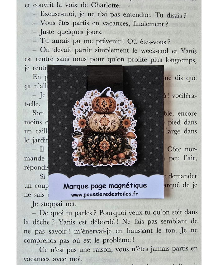 Marque page magnétique citrouilles