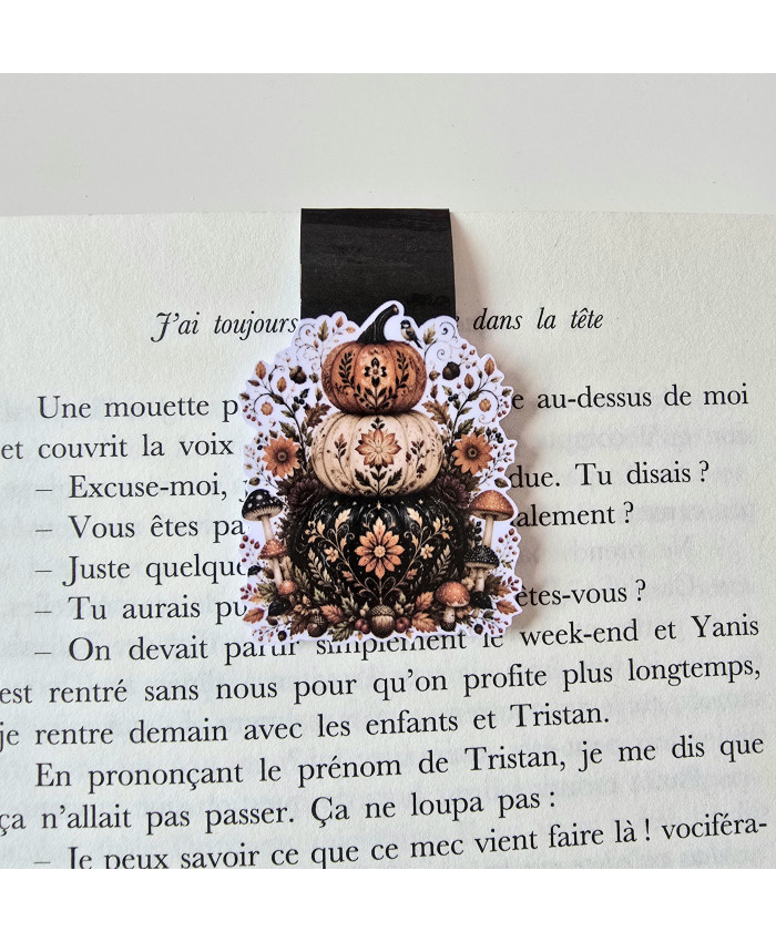 Marque page magnétique citrouilles