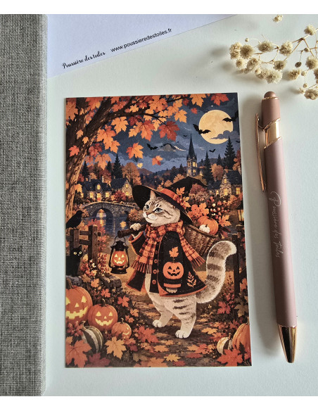 Réf 55 Carte postale postcrossing scrapbooking correspondance chat